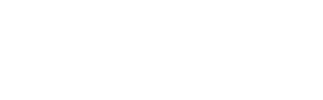 Wffsa Logo White